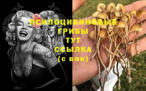 ПСИЛОЦИБИНОВЫЕ ГРИБЫ Абинск